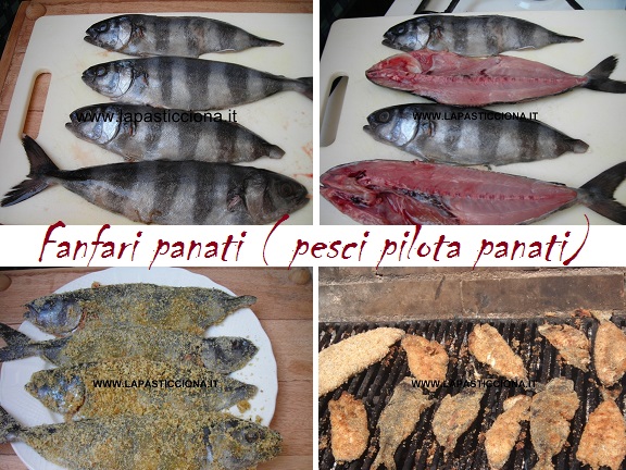 Fanfari panati (pesci pilota)