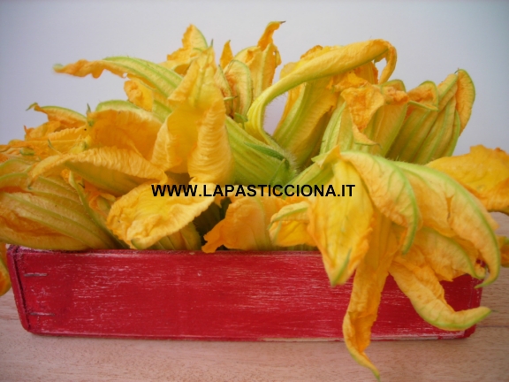 fiori di zucca