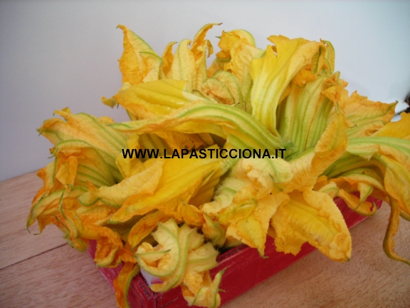 fiori di zucca