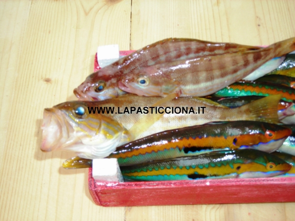 Pesce misto per zuppa