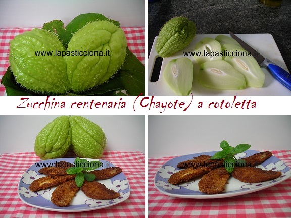 Zucchina centenaria (Chayote) a cotoletta