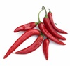 peperoncino